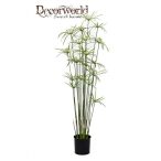 Vízipálma bokor 150cm zöld ültetett