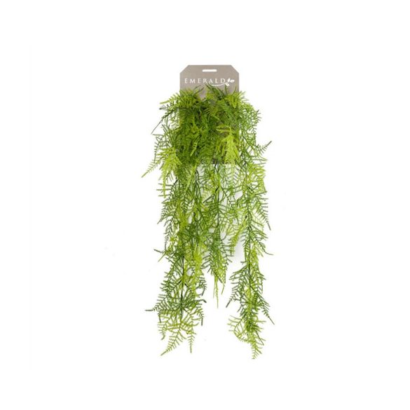 Asparagus (Fátyolasparagus) bokor lógó x6 80cm