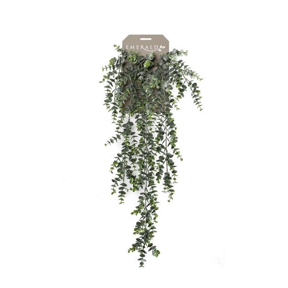 Eucalypthus hanging bush lógó bokor x5 75cm