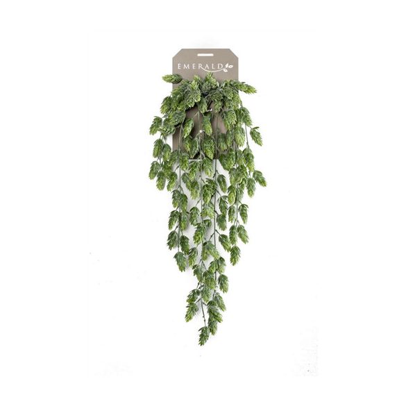 Hop hanging bush Árpa lógó bokor x6 70cm