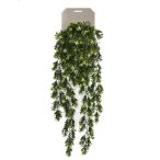 Buxwood berry hanging bush lógó Bokor x6 75cm