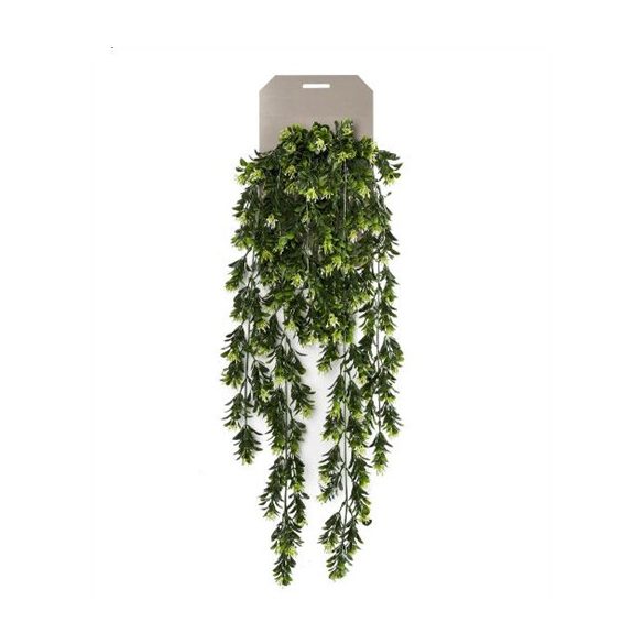 Buxwood berry hanging bush lógó Bokor x6 75cm