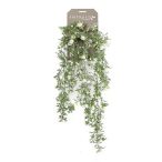   Rose mini hanging bush Mini futó rózsa 5 szál 75cm - Krém