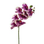 Phalaenopsis ág 8 virág 70cm krém/violet