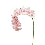 Phalaenopsis ág 15 virág 110cm világos rózsaszín