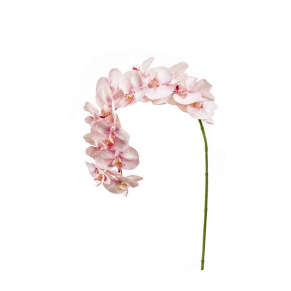 Phalaenopsis ág 15 virág 110cm világos rózsaszín