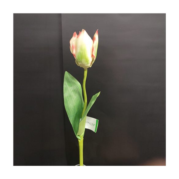 Tulipán 40cm - Zöld/piros