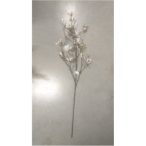 Magnolia stellata ág 110cm barack