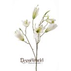 Vadliliom ág 70cm krém