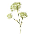 Heracleum ág x3 105cm fehér