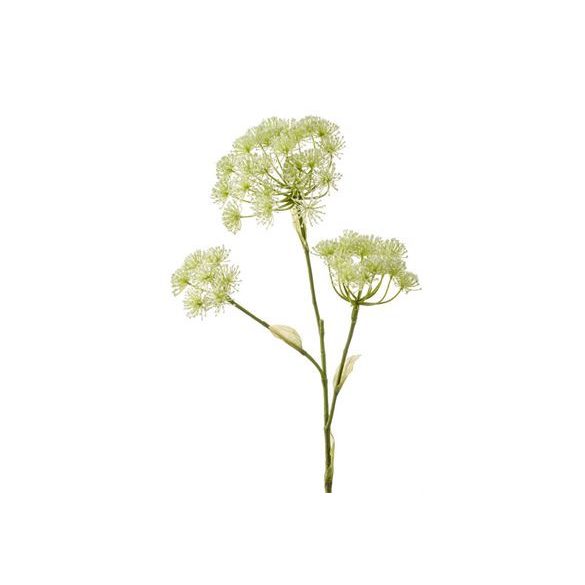 Heracleum ág x3 105cm fehér