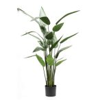 Heliconia 125cm/22lvs