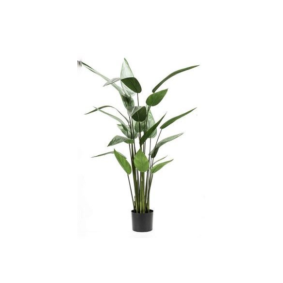 Heliconia 125cm/22lvs