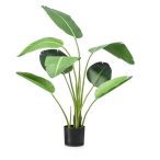 Strelitzia 120cm/ 8levél (műanyag cserépben)