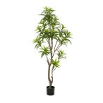 Sárkányfa 155cm/402 levél (műanyag cserépben)