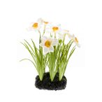 Nárcisz földgömbön 23cm fehér/sárga