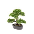 Bonsai mini 32cm (barna cserépben)
