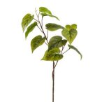 Philo ág x2 62cm 12 levél