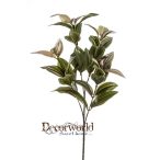 Tradescantia ág x4 53cm - Zöld/rózsaszín