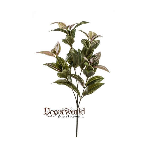 Tradescantia ág x4 53cm - Zöld/rózsaszín
