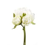 Peónia csokor x3 23cm - Krém/zöld