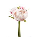 Peónia csokor x3 23cm - Krém/világos rózsaszín