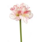 Amaryllis stem 82cm rózsaszín
