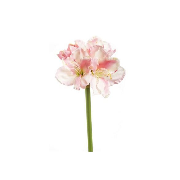 Amaryllis stem 82cm rózsaszín