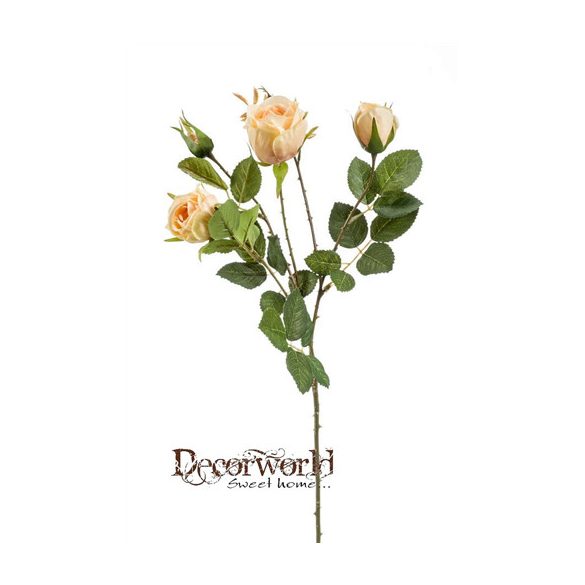 Rózsaág Peggy 60cm barack