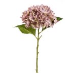 Hydrangea annabelle stem 52cm - Világos lila
