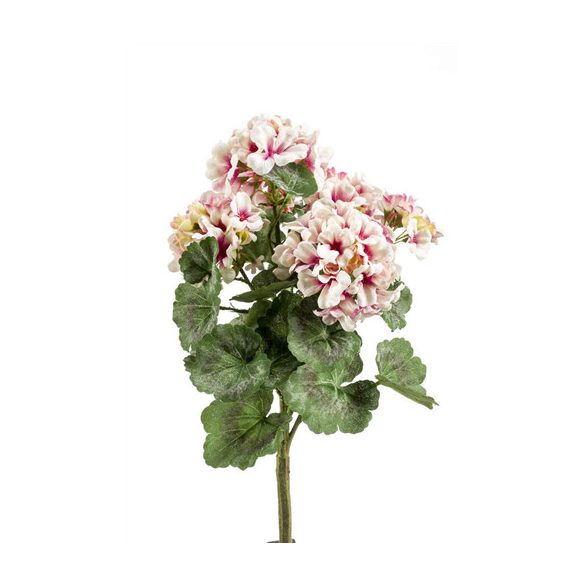 Geranium Bokor 35cm világos rózsaszín