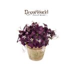 Sóska bokor 24cm lila/rózsaszín agyag cserében