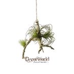 Faág szakállbroméliával x4 25cm