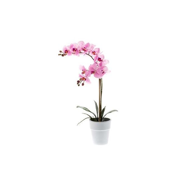 Phalaenopsis bokor RT 65cm - Rózsaszín (fehér cserépben 12cm)