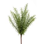 Rozmaring bokor x18 30cm - Zöld