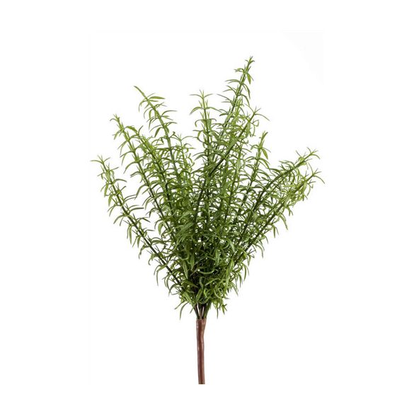 Rozmaring bokor x18 30cm - Zöld