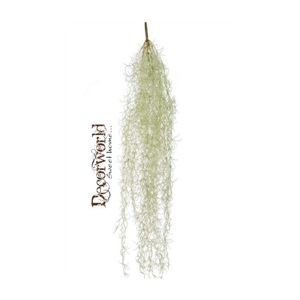 Szakállbromélia bokor 95cm - Szürke