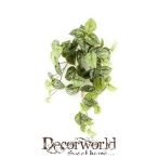 Scindapsus pictus bokor lógó 45cm