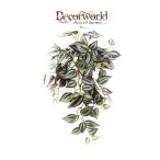 Tradescantia csüngő bokor 50cm - Lila