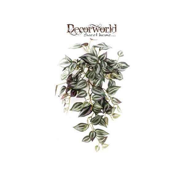 Tradescantia csüngő bokor 50cm - Lila