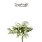 Hálóslevél bokor 25cm zöld/fehér