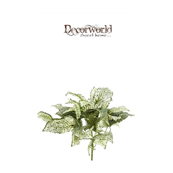 Hálóslevél bokor 25cm zöld/fehér