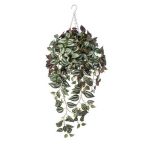 Tradescantia csöngő bokor 70cm -Lila (cserépben)