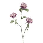Rose spray x3 80cm - Világos lila
