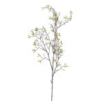 Corokia ág 100cm - Zöld
