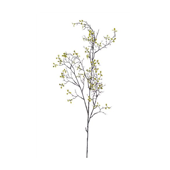 Corokia ág 100cm - Zöld