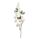 Viburnum spray deres 85cm - Krém