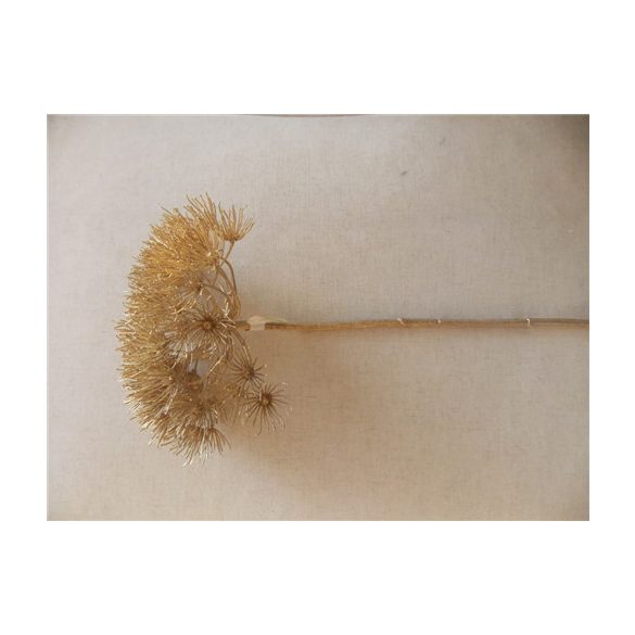 Medvetalp ág 80cm arany