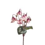 Cyclamen bush 28cm - Rózsaszín