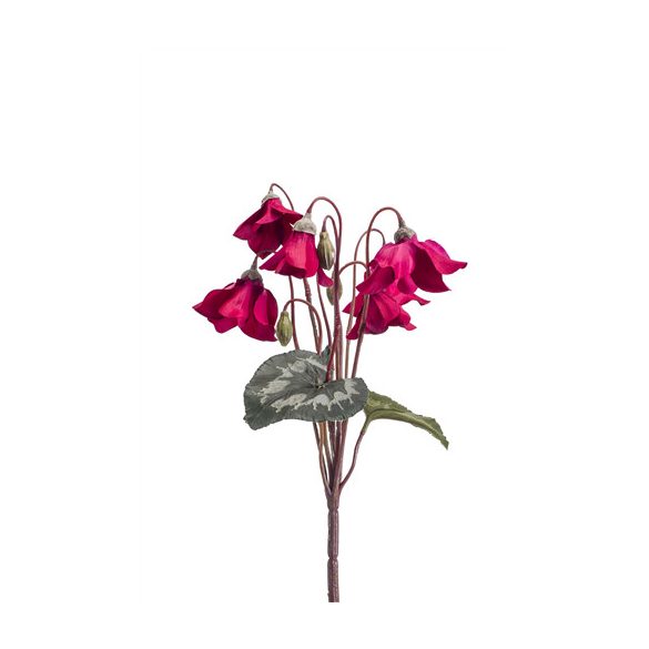 Cyclamen bush 28cm - Beauty